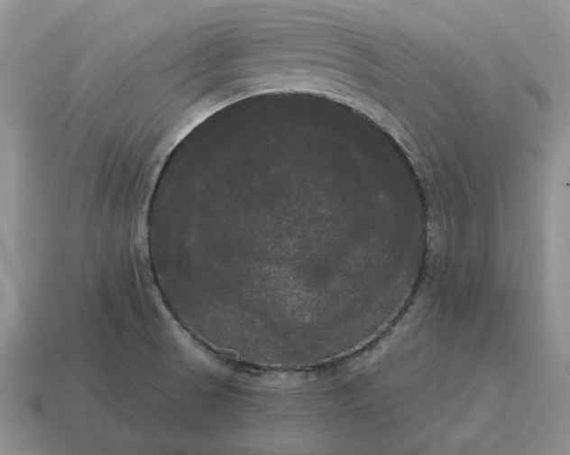 X0000114591521200911091246