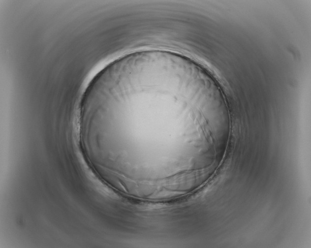 X0000114591522200911091246