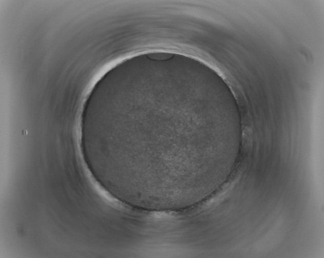 X0000114591523200911091246