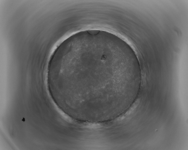 X0000114591525200911091246