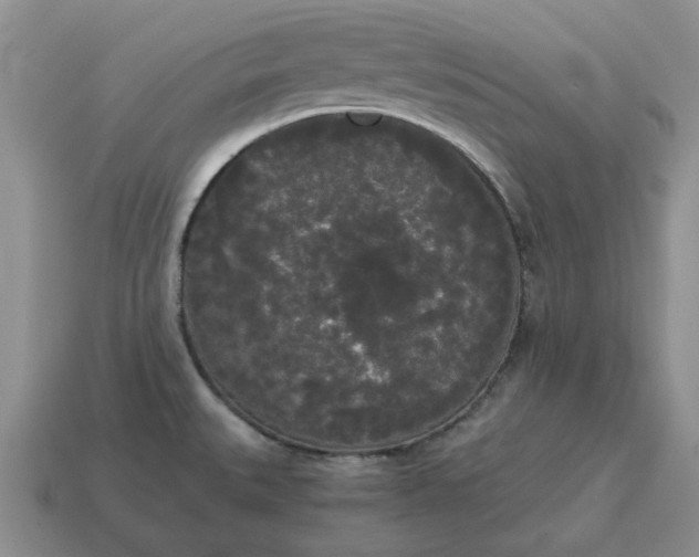 X0000114591527200911091246