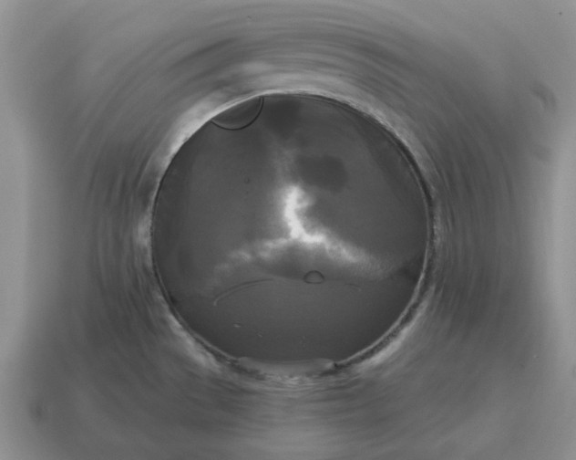 X0000114591529200911091246