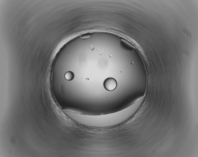 X0000114591530200911091246