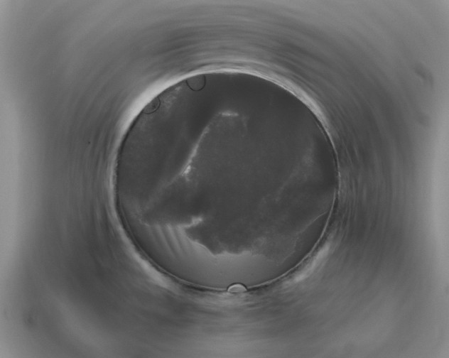 X0000114591533200911091246