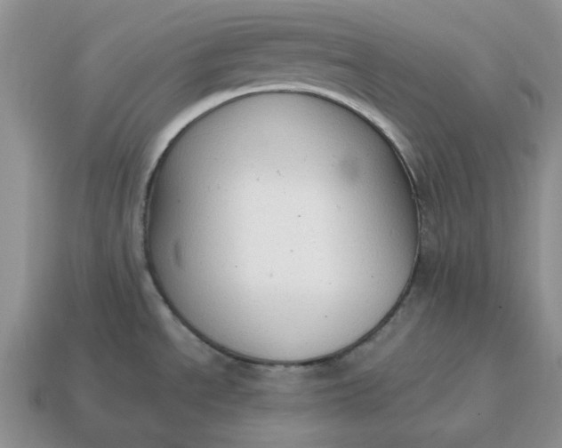 X0000114591534200911091246