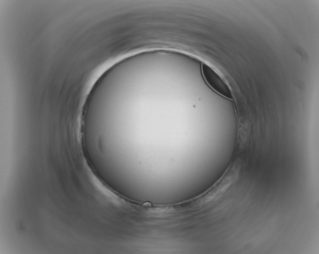 X0000114591535200911091246