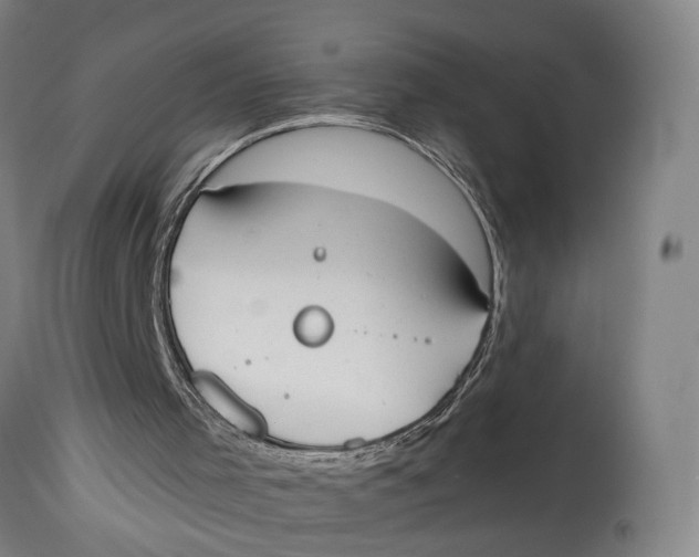 X0000114590001200911161342