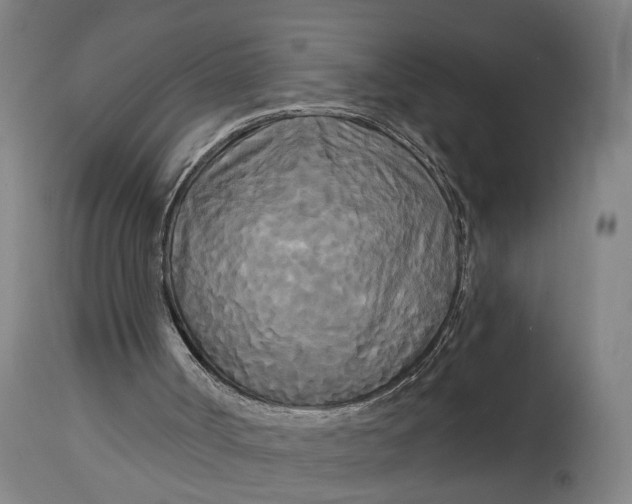 X0000114590002200911161342