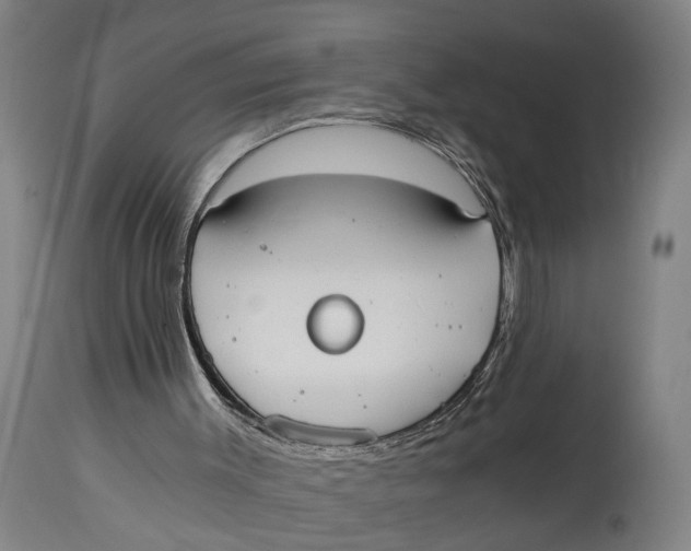 X0000114590003200911161341