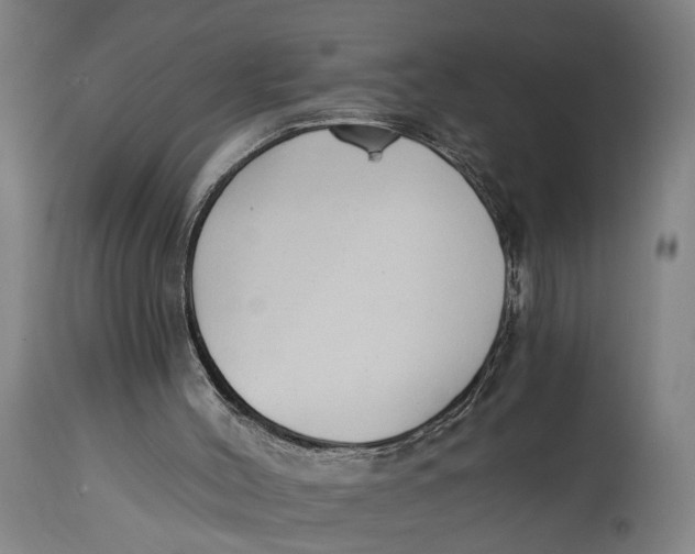 X0000114590004200911161341