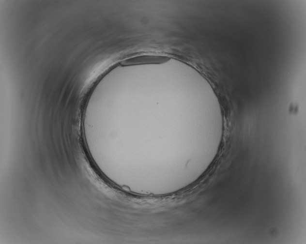 X0000114590005200911161341