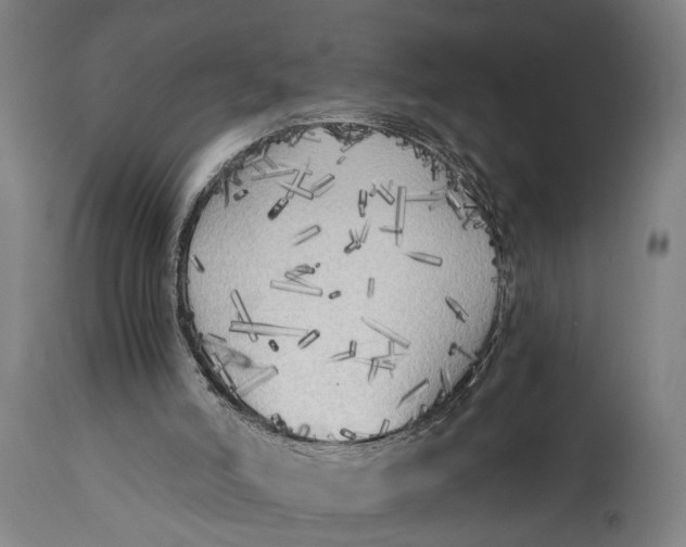 X0000114590006200911161341