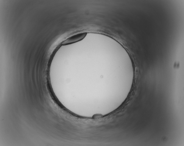 X0000114590007200911161341