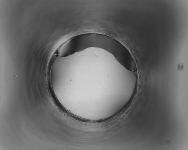 X0000114590008200911161341