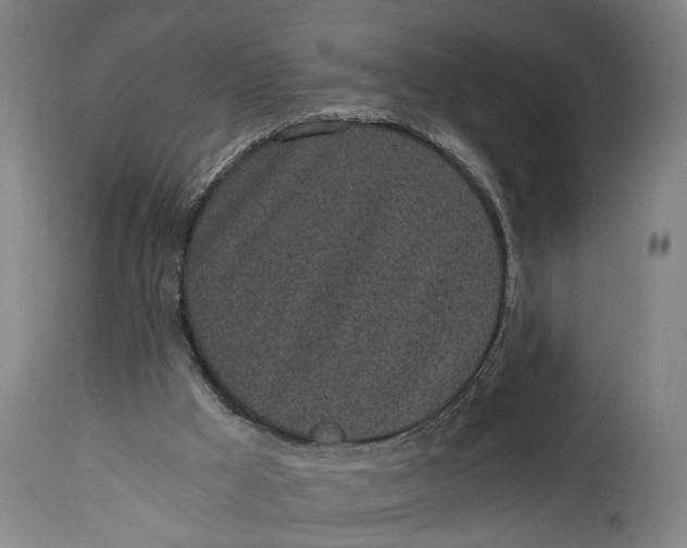 X0000114590009200911161341