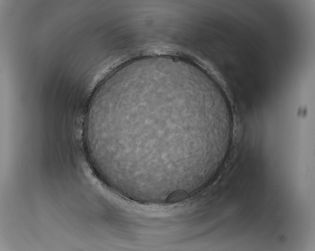 X0000114590010200911161341