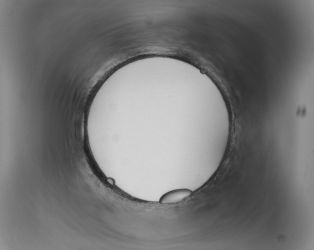 X0000114590011200911161341