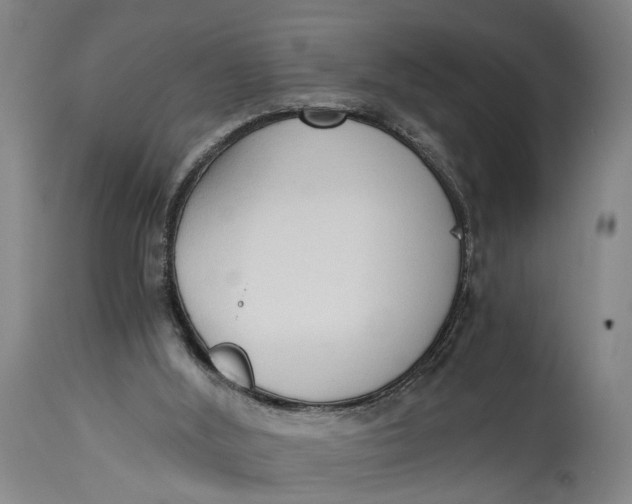 X0000114590012200911161341