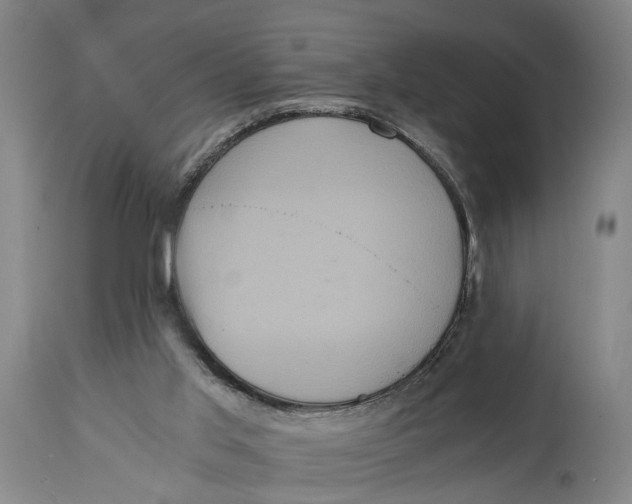 X0000114590013200911161341