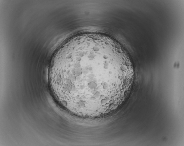 X0000114590014200911161341