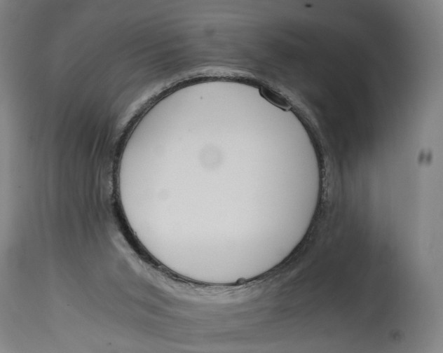 X0000114590015200911161341