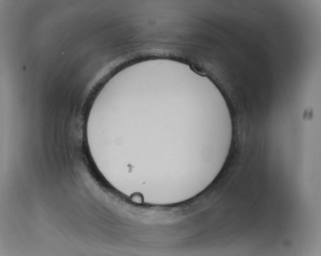 X0000114590016200911161341