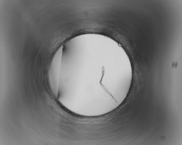X0000114590017200911161341