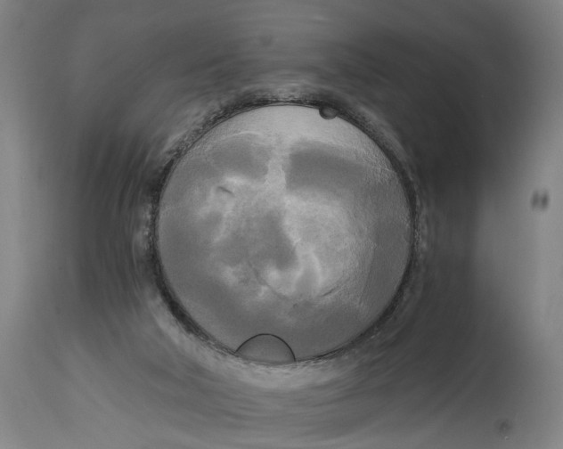 X0000114590018200911161341