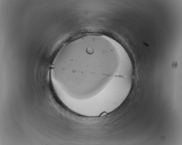 X0000114590019200911161341