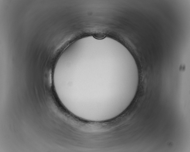 X0000114590020200911161341