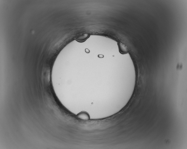X0000114590021200911161341