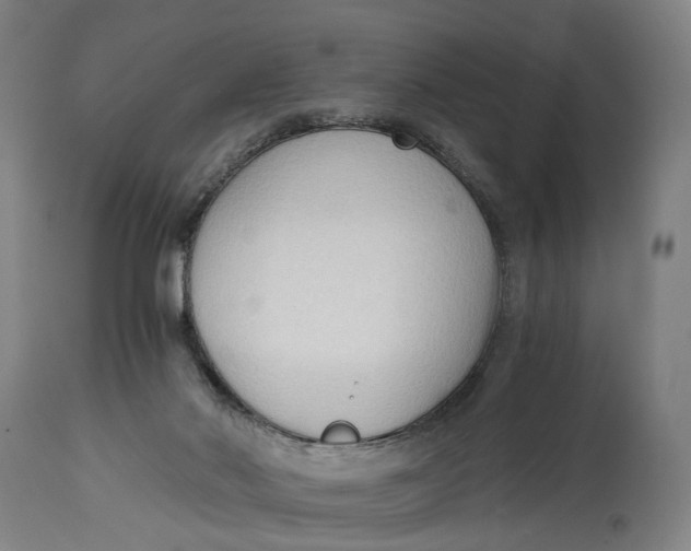 X0000114590022200911161341