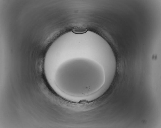 X0000114590023200911161341