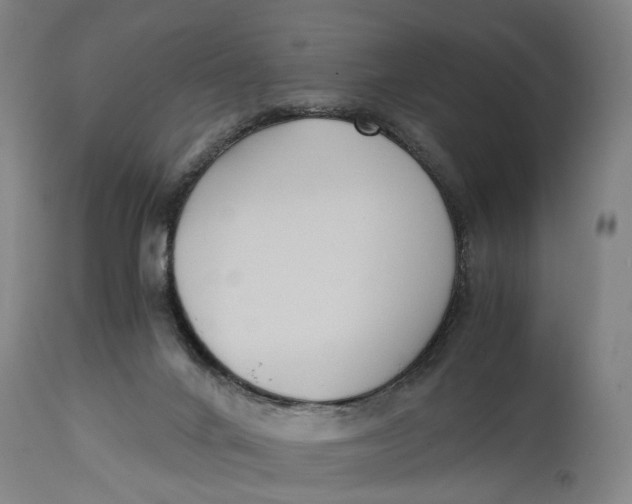 X0000114590024200911161341
