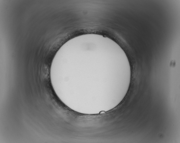 X0000114590025200911161341