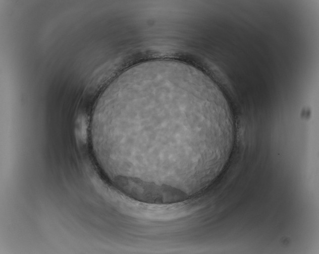 X0000114590026200911161341
