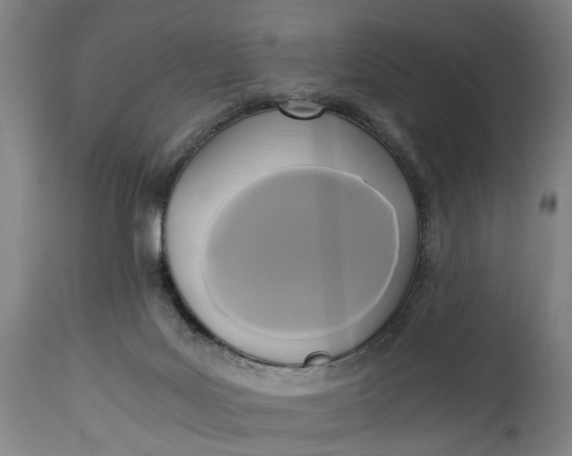 X0000114590027200911161341