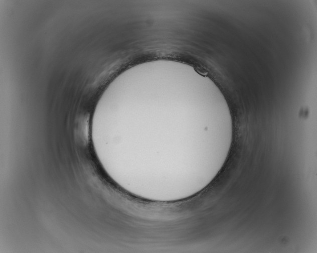 X0000114590028200911161341
