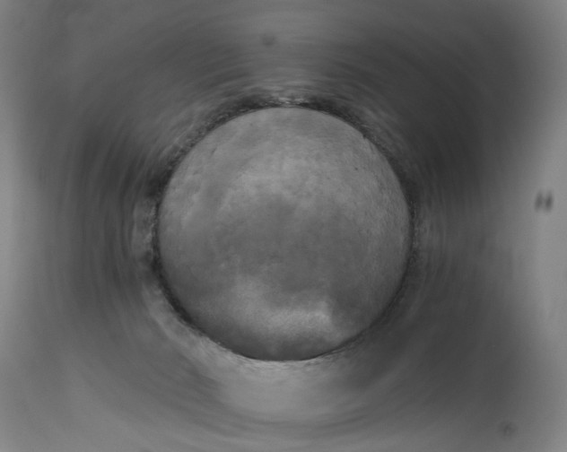 X0000114590030200911161341