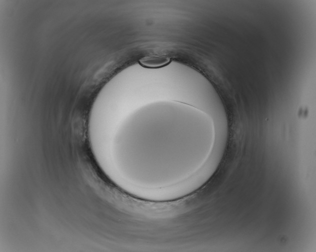 X0000114590031200911161341