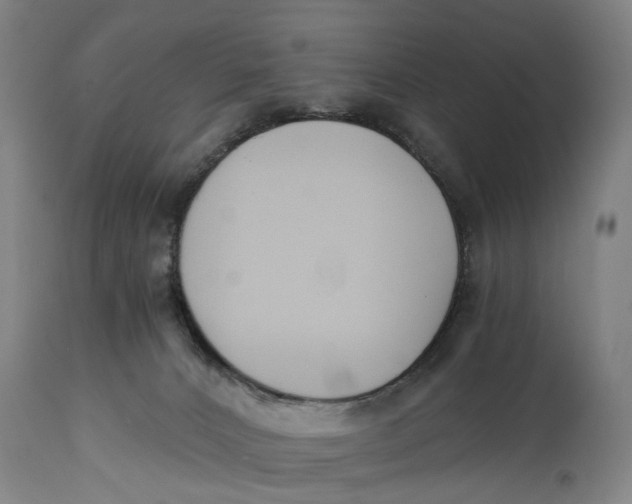 X0000114590032200911161341
