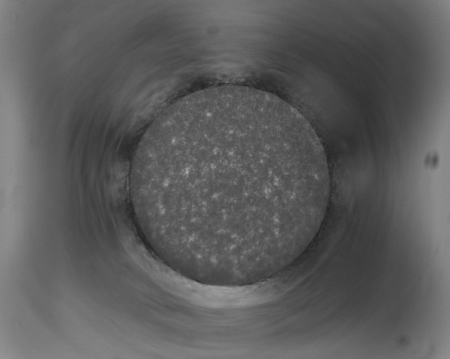 X0000114590034200911161341