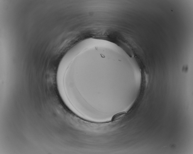 X0000114590035200911161341