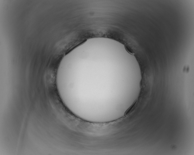 X0000114590037200911161341