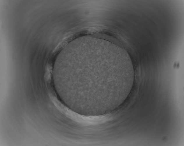 X0000114590038200911161341