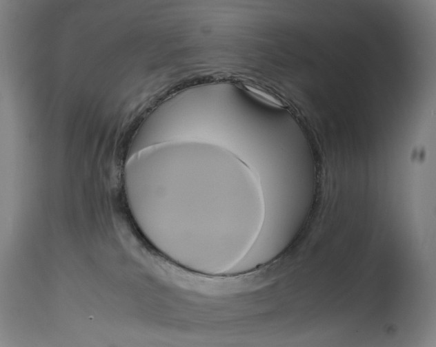 X0000114590039200911161341
