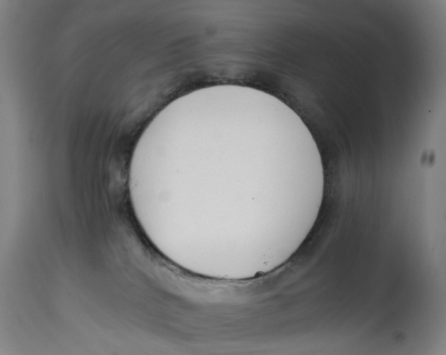 X0000114590040200911161341