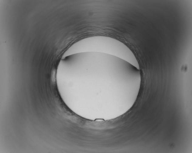 X0000114590041200911161341