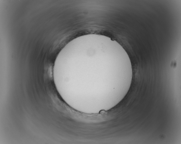 X0000114590042200911161341