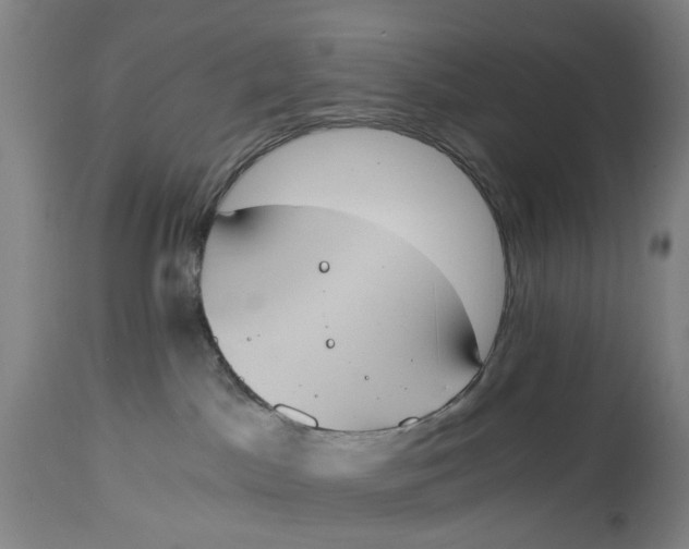X0000114590045200911161341